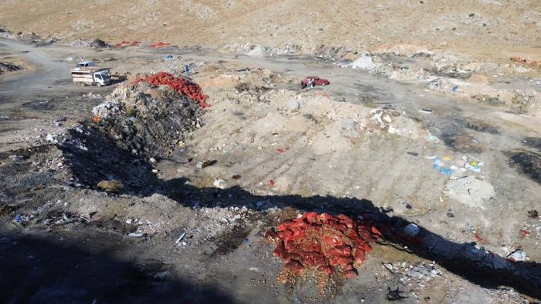 Boş araziye attılar, vatandaş çuvallarla toplayıp evine götürdü