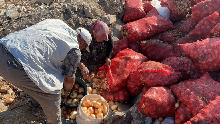 Boş araziye attılar, vatandaş çuvallarla toplayıp evine götürdü