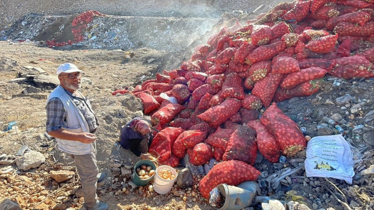 Boş araziye attılar, vatandaş çuvallarla toplayıp evine götürdü