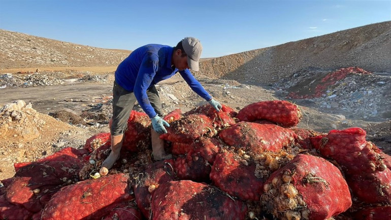 Boş araziye attılar, vatandaş çuvallarla toplayıp evine götürdü
