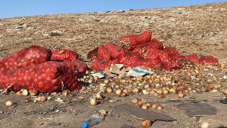 Boş araziye attılar, vatandaş çuvallarla toplayıp evine götürdü