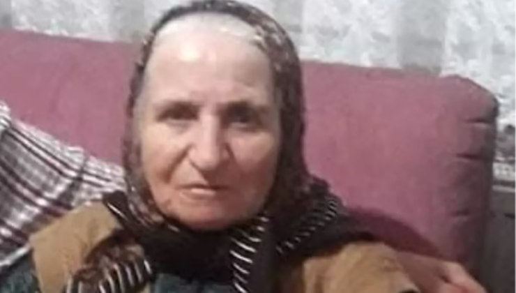 Kocaeli’de Otomobilin Çarptığı 72 Yaşındaki Kadın Hayatını Kaybetti