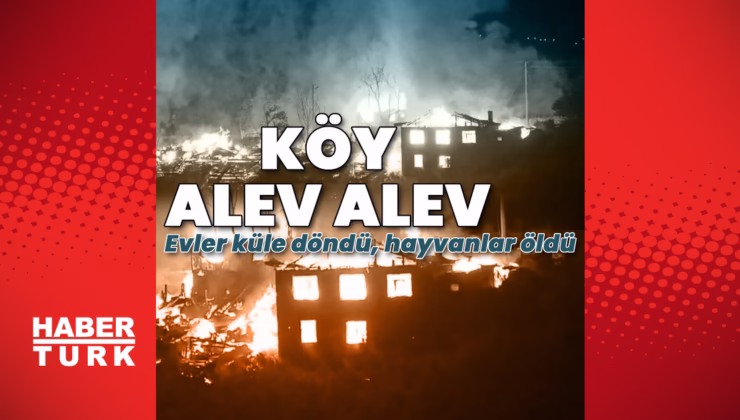 Bolu’da köyde büyük yangın! Evler küle döndü, hayvanlar öldü