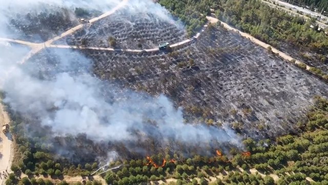 Kocaeli’de ağaçlık bölgede yangın (2)