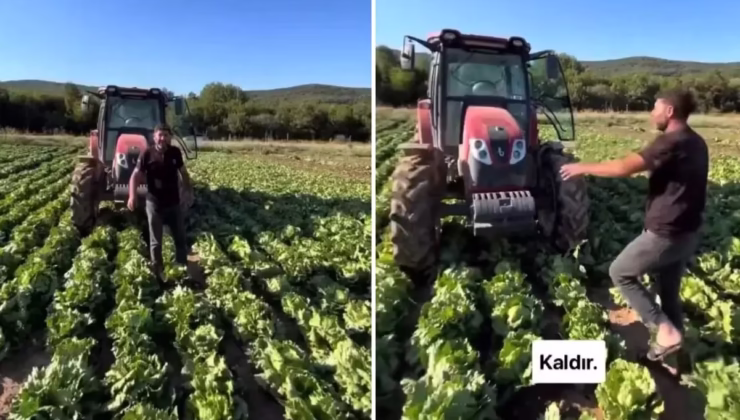 Tarlasındaki ürüne teklif edilen fiyat üreticiyi isyan ettirdi: Markette 30 TL’ye satıyorlar