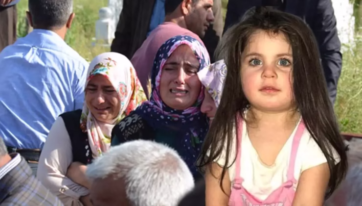 Yargıtay, 4 yaşındaki Leyla Aydemir davasında verilen beraat kararlarını bozdu