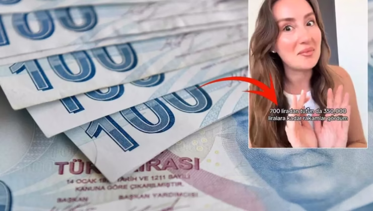E-Devlet’te birikmiş paranız olabilir: 2 adımda bunu öğrenebilirsiniz