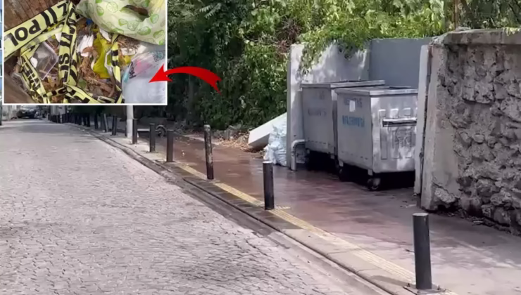 İstanbul’da çöpte yanmış bebek cesedi bulundu