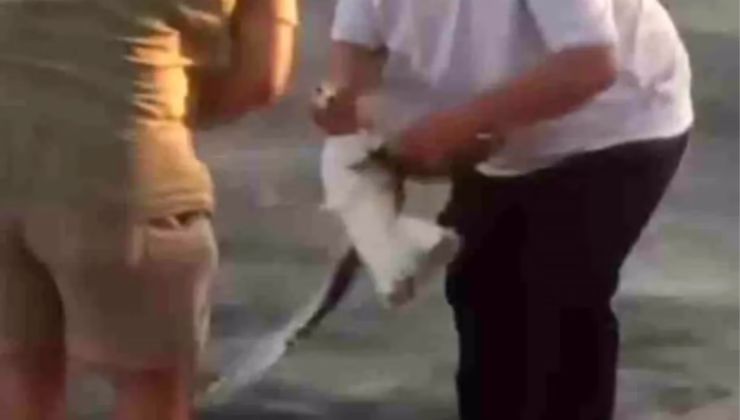 Kocaeli’de Balıkçının Duyarlı Davranışı: Oltadan Kurtarılan Martı Yeniden Denize Bırakıldı