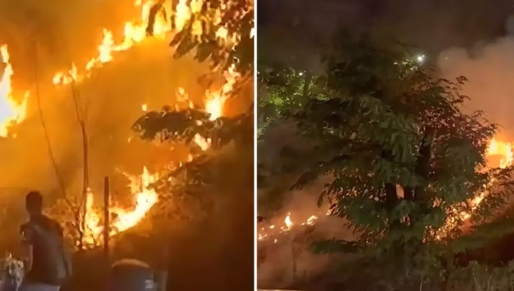 Meşale kutlaması otluk alanda yangın çıkardı