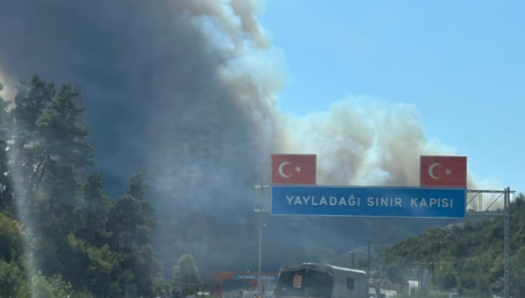 Suriye’de sınıra yakın bölgede orman yangını