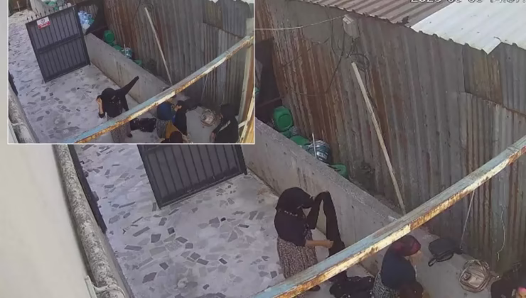 Bahçede bir garip görüntü! Kıyafetlerini böyle değiştirdiler