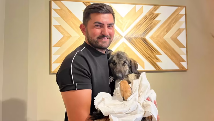 Felçli Yavru Sokak Köpeği Nazlı, Tedavi Edilip Sahiplendi