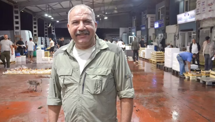 Karamürsel’de Balık Mezadında İlk Sezon Coşkusu