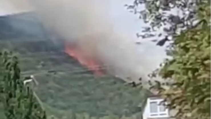 Kocaeli’de Orman Yangını: Ekipler Mücadele Ediyor