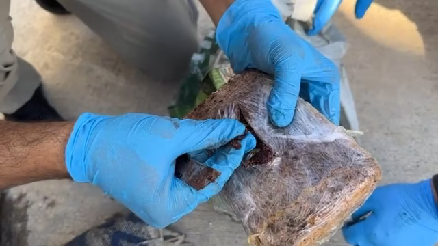 Yolcu otobüsünde dış yüzeyi ‘pul biber’ ile kaplı 7 kilo eroin ele geçirildi