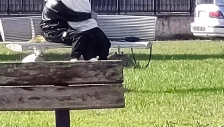 Akyazı Parkında Uygunsuz Davranışlar Kaydedildi