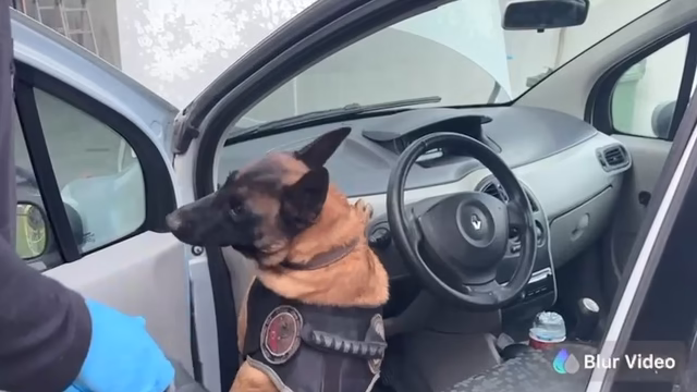 Kocaeli’de otomobile zulalanmış 45 kilo eroin ele geçirildi