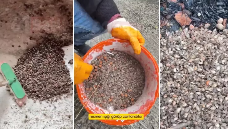 Türkiye’nin öteki gündemi! “Son virajdayız” diyen vatandaştan endişelendiren sözler