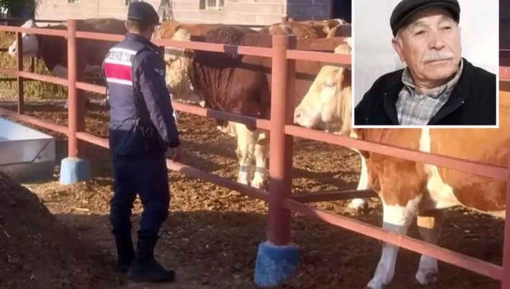 Yaşlı adam, beslediği hayvan tarafından öldürüldü