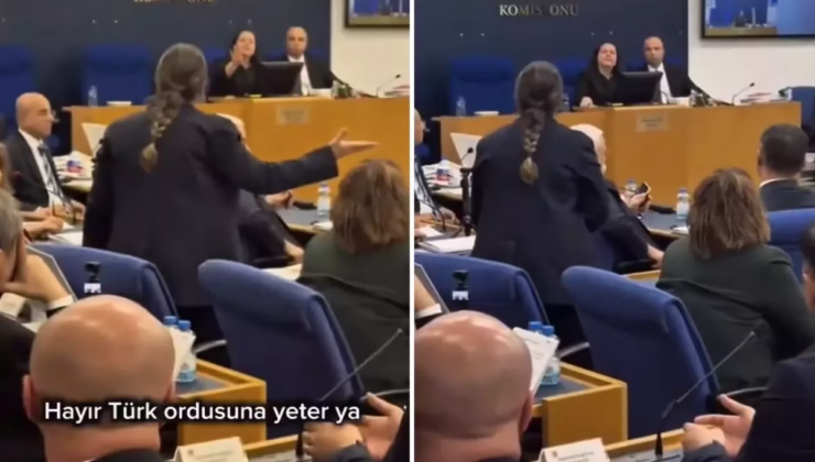 DEM Partili vekilin “Tecavüz” iddiası Türkeş’in kızını küplere bindirdi