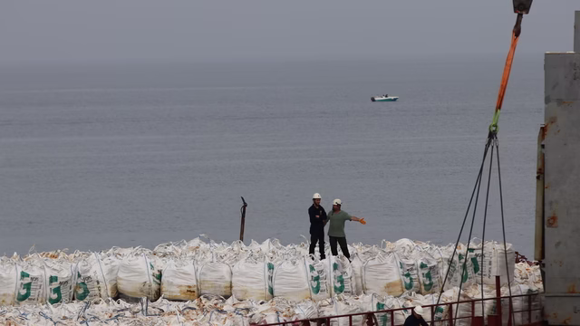 Kocaeli’de karaya oturan gemideki yükün tahliyesine başlandı