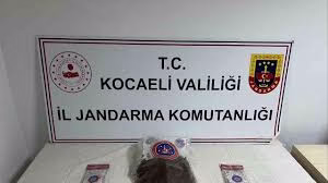 Uyuşturucu operasyonu: 2 gözaltı