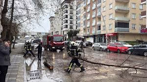 Kocaeli’de rüzgar nedeniyle kırılan ağaç dalları 2 araca zarar verdi
